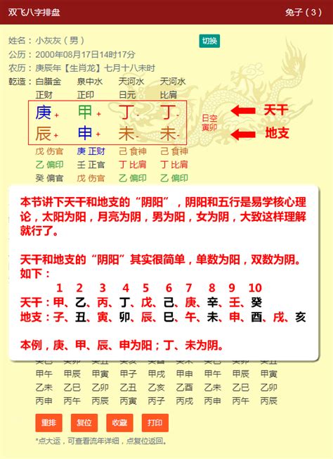 元亨利貞八字|八字排盘结果